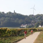 Neuleiningen im Hintergrund